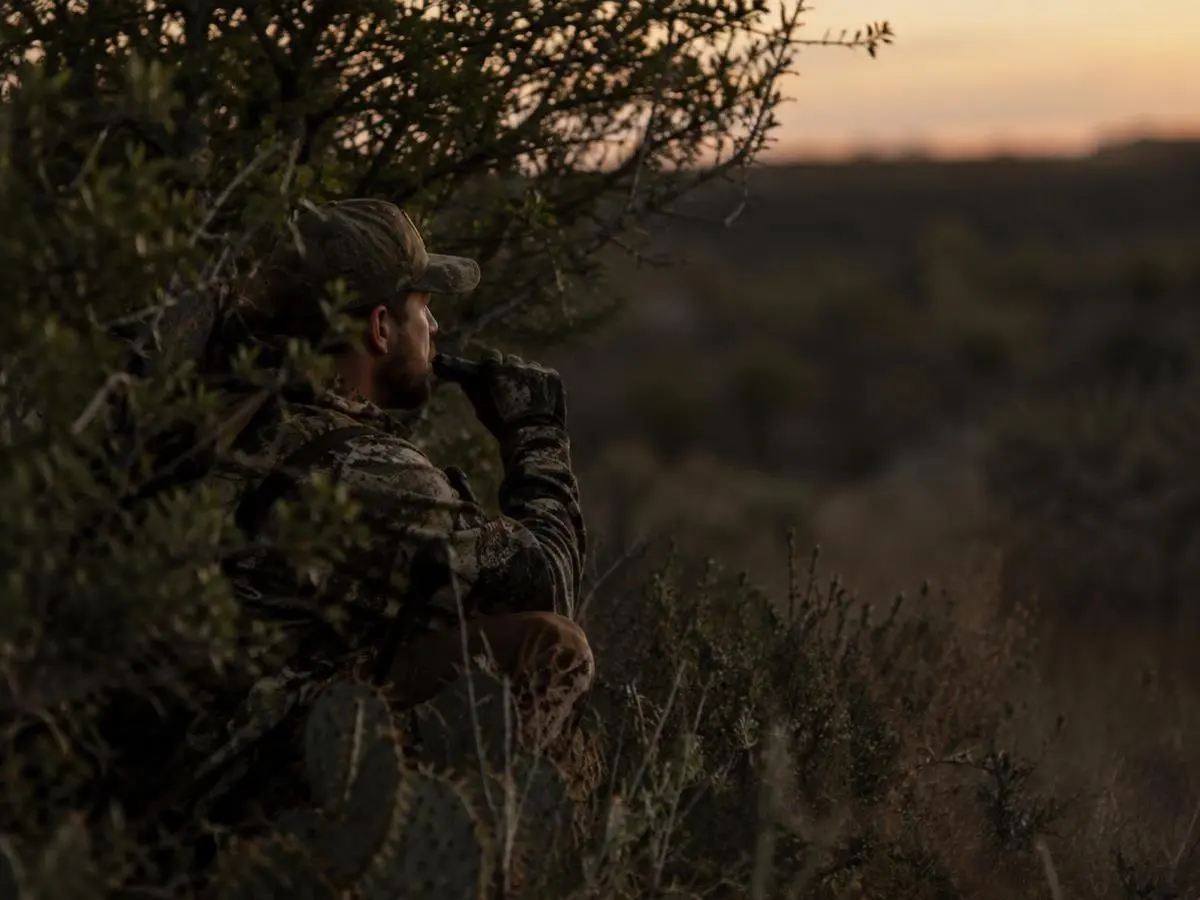 Calling in the brush