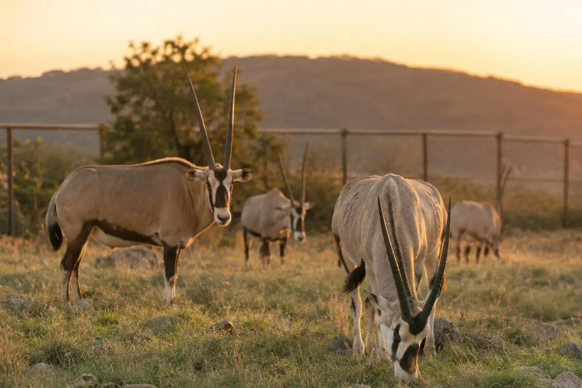 Exotic Game Hunts