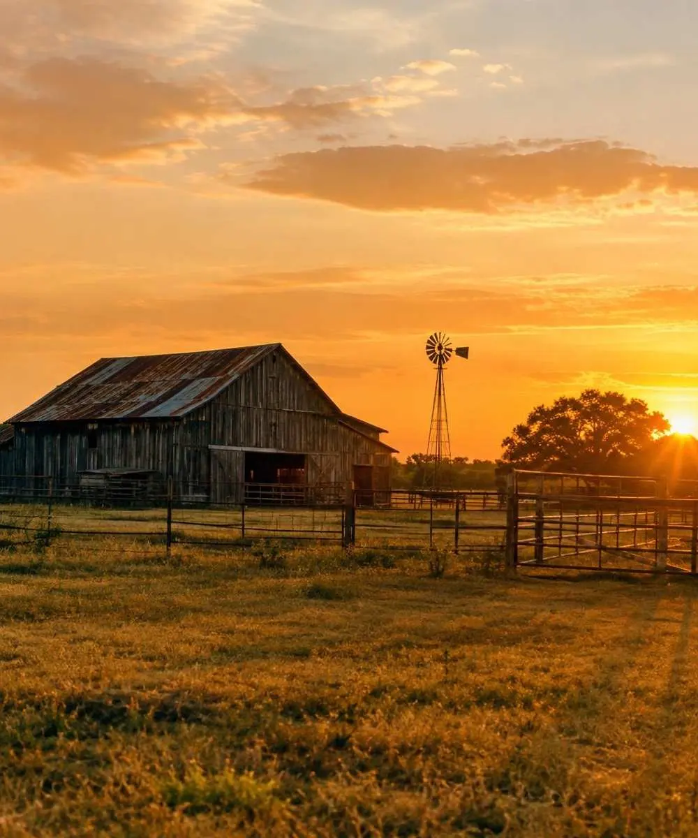Texas ranch scenery
